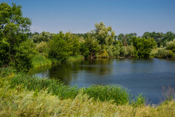 Fototapeta premium lake in the forest