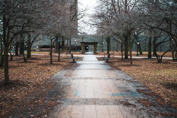 alley in the park
