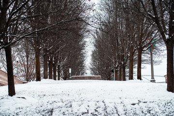 winter in the park