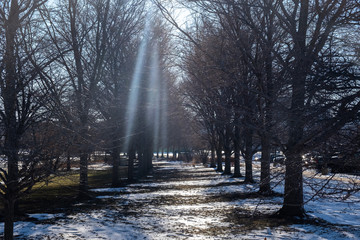 roadwalk in the winter 