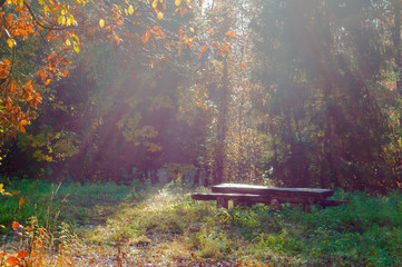 A place for travelers to rest. Table and benches in the forest.