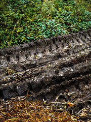 Heavy machinery track in a forest, Concept forest industry,