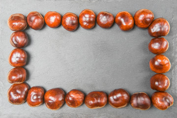 Frame from chestnut fruit on grey stone background. Top view. With place for text