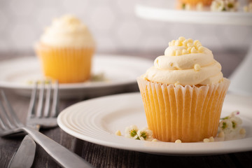 Vanilla Cupcakes and Cupcake Stand Food Photography