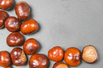 Fresh chestnut fruit scattered on grey stone background. Top view. With your place for text
