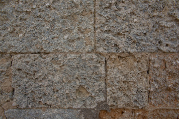 Stone wall texture with seashells. Background