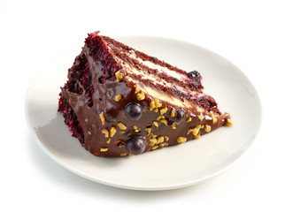 piece of chocolate and blackcurrant cake