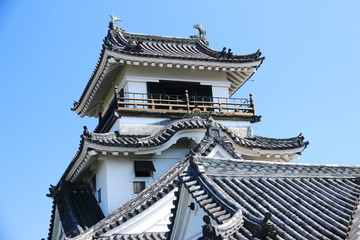 Fototapeta na wymiar 日本の城　高知城