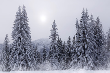 Wintry landscape in the mountains