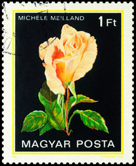 Rose on postage stamp