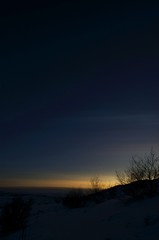 Dark view of snowy ground and silhouette of barren bush during twilight in Iceland