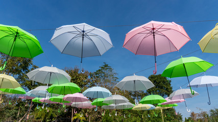 Colorful umbrellas in the blue sky background.
