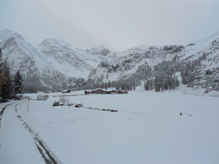 malen auf wei&szlig;