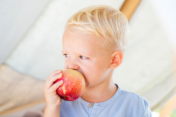 Laughing cute little boy on camping sitting in tent and eat apple fruit. Happy childhood. Happy little boy.