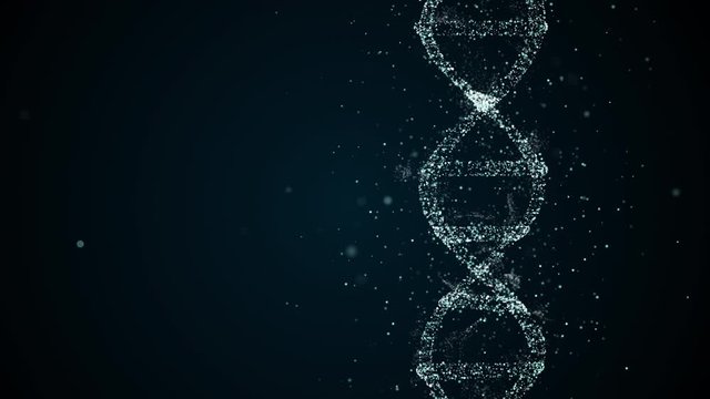 Analysis of DNA Structure. DNA strand molecule consisiting of four pieces adenine, thymine, guanine and cytosine.