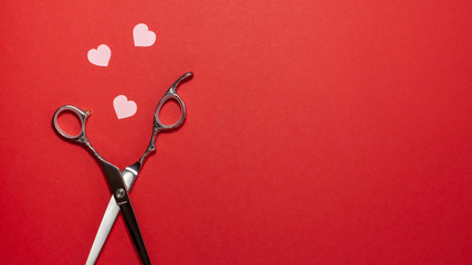 Top view flat lay of professional hair cutting shears and pink hearts on red background....