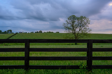 Fototapeta na wymiar Horse Fence and Gray Skies