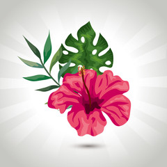 natural flower of pink color with branch and leafs tropical vector illustration design