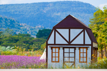 Mini barn house with beautiful landscape view in Verbena plantation filed in Prachinburi, Thailand.