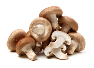 Shiitake mushroom on the White background 