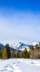 winter in the mountains