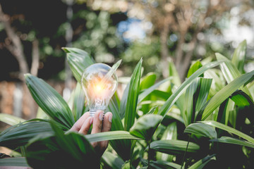 Hand holding light bulb,energy sources for renewable,natural energy and love the world concept.