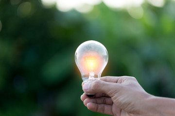 Hand holding light bulb,energy sources for renewable,natural energy concept.