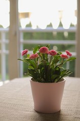 Cozy modern minimalism interior. Flowers pot on the table