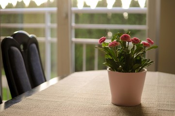 Cozy modern minimalism interior. Flowers pot on the table