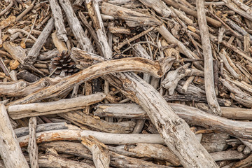 Driftwood on beach, Abstract grunge texture background of driftwood logs on beach in New Zealand