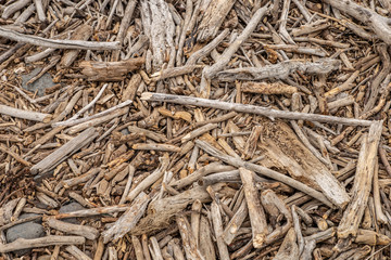 Driftwood on beach, Abstract grunge texture background of driftwood logs on beach in New Zealand