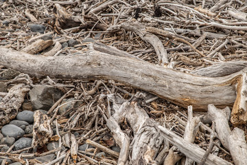 Driftwood on beach, Abstract grunge texture background of driftwood logs on beach in New Zealand