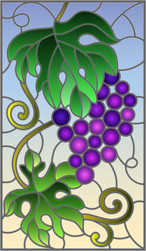 The illustration in stained glass style painting with a bunch of red grapes and leaves on a sky  background