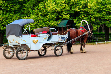 Empty horse-drawn carriage in a green park