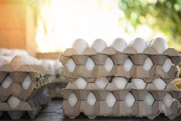 Duck egg or white egg box - produce eggs fresh from the farm organic agriculture