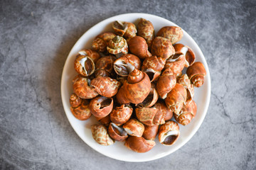 Babylonia areolata shellfish seafood on white plate ready for eat or cooked - Spotted babylon Sea shell limpet