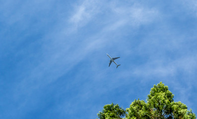 A large jet isolated in blue sky flying high above the trees image with copy space