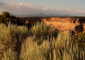 Archaeological Ruins at Canyon de Chelly National Monument, Navajo Nation, Arizona