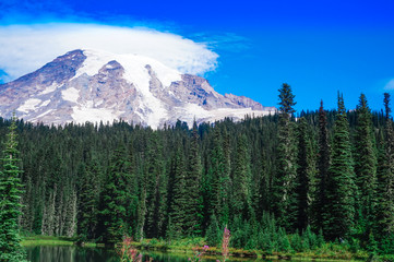 Lake view in Mount Rainier National Park