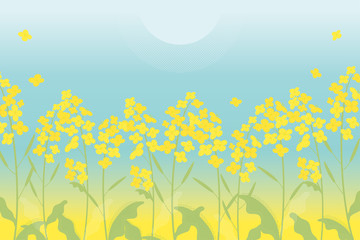 Fototapeta na wymiar Canola flowers illustration on blue gradient background