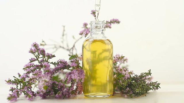 Calluna essential oil in  beautiful bottle on White background