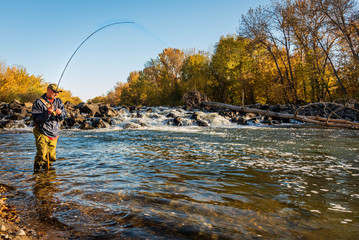 Fly fisherman catching a fish in the mountain river.