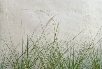 Obraz na płótnie Canvas White flowers on the side of the house wall