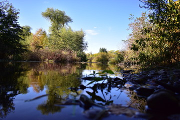 lake in the forest