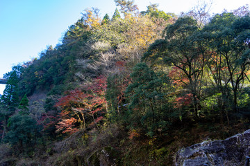 高千穂峡