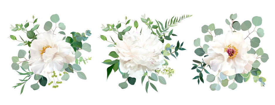 Wedding white flower vector design bouquets