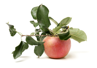 Red apples isolated on white background