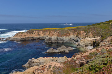 Fototapeta na wymiar Lobos Rock and cliffs at Soberanes Point (Garrapata State Park, Monterey County, California)