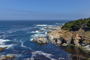 Fototapeta na wymiar cypress trees and cliffs at Kasler Point (Monterey County, California)