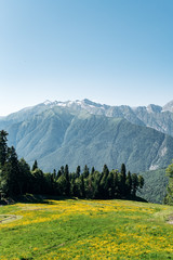 View of Mountains with green forest landscape